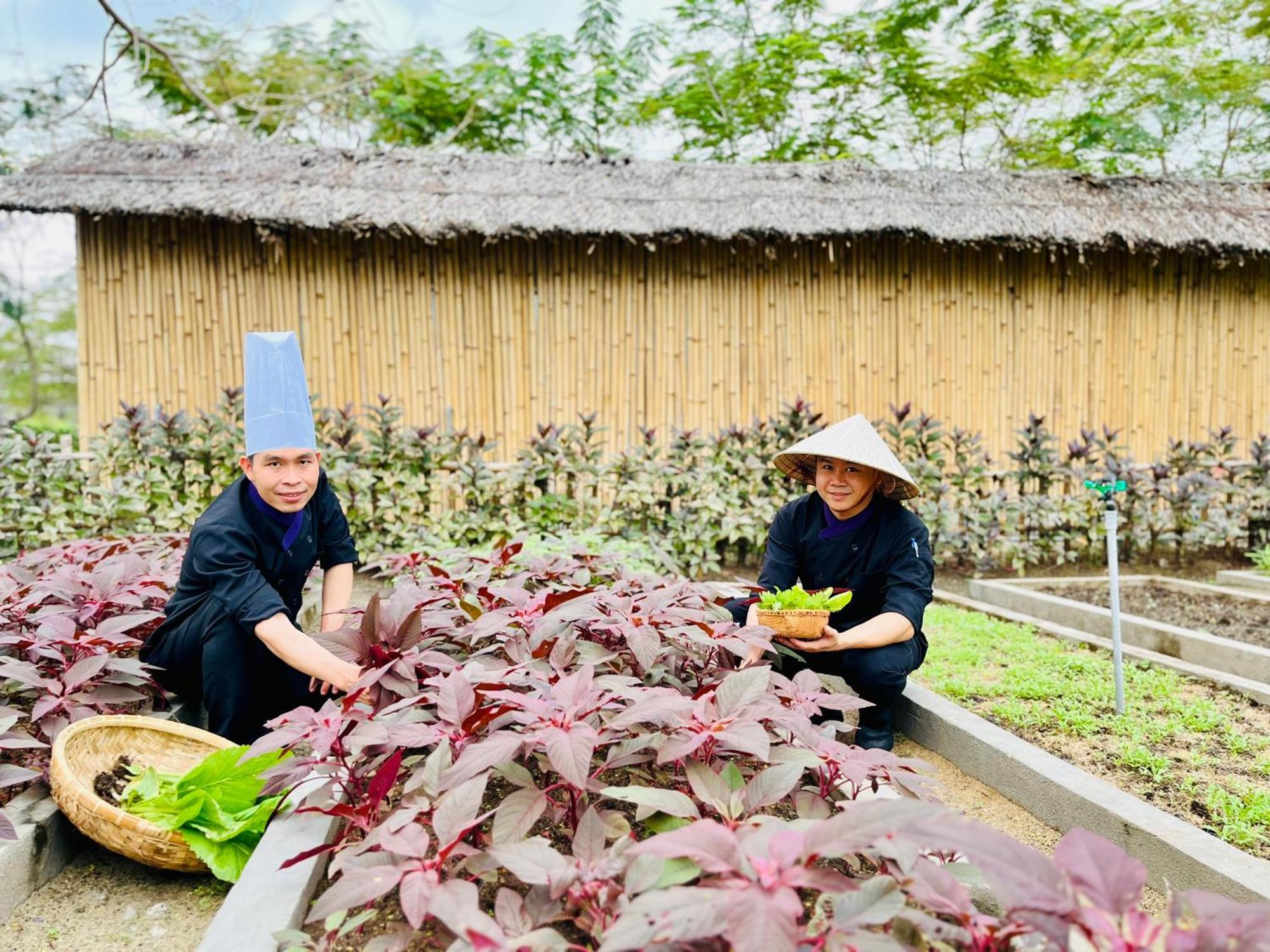 Ttc Van Phong Bay Resort - Himalaya Sauna & Steam Retreat Included Ninh Hoa ภายนอก รูปภาพ