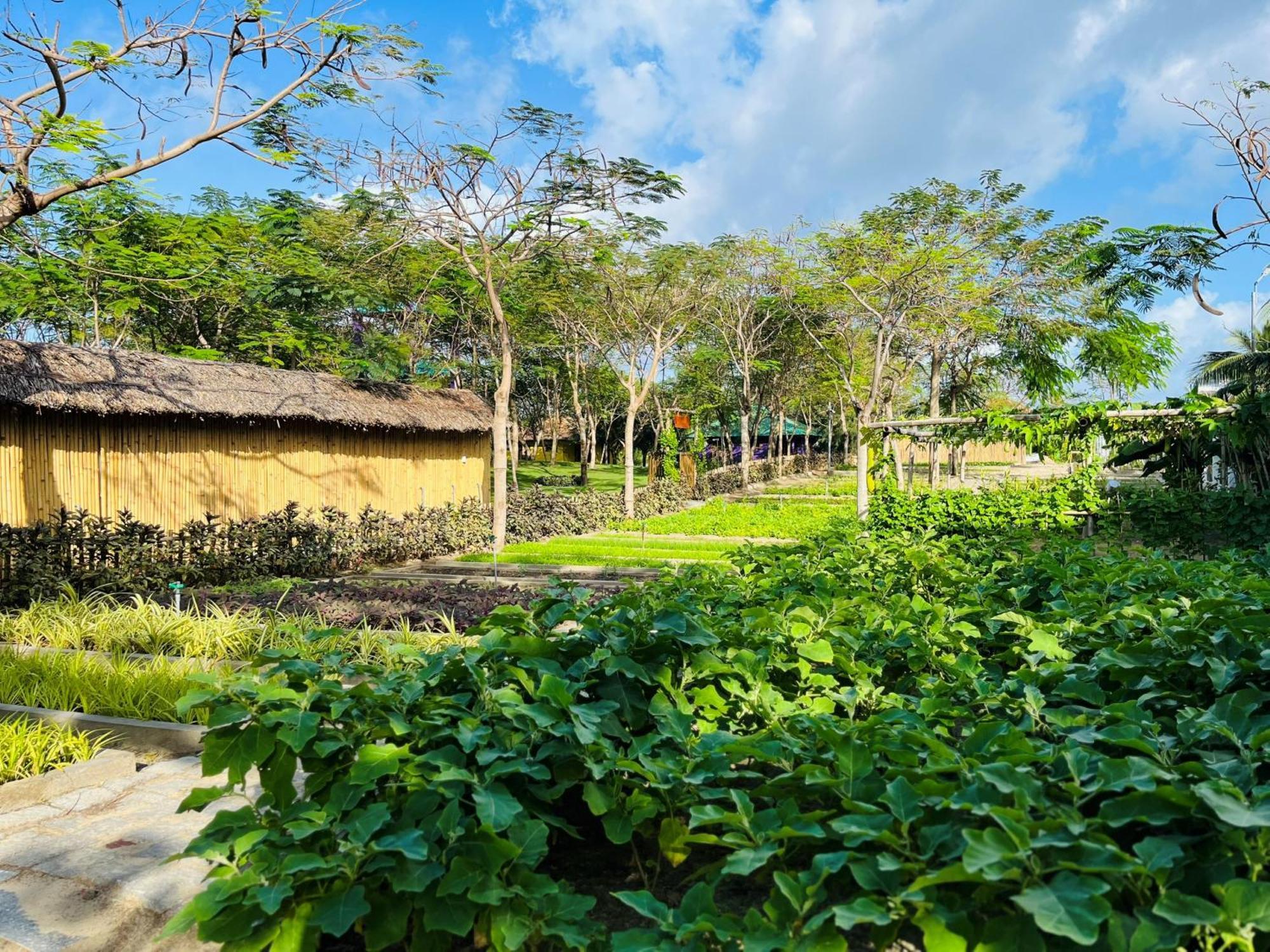Ttc Van Phong Bay Resort - Himalaya Sauna & Steam Retreat Included Ninh Hoa ภายนอก รูปภาพ